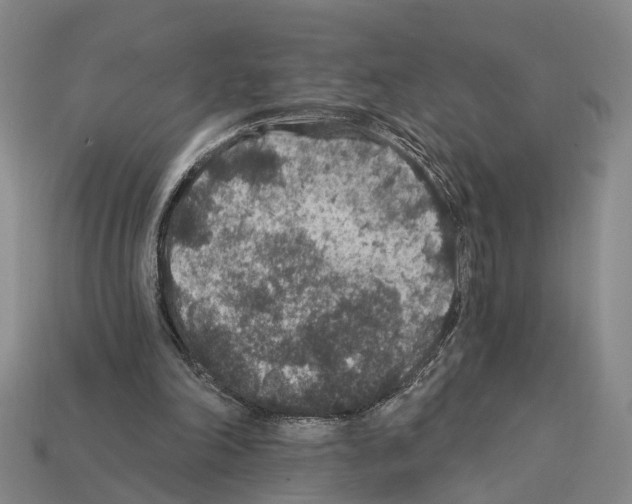 X0000112420198200909251523