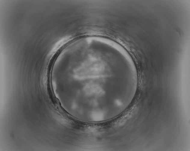 X0000112420199200909251523