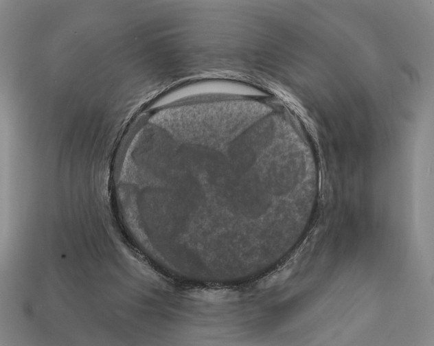 X0000112420201200909251523