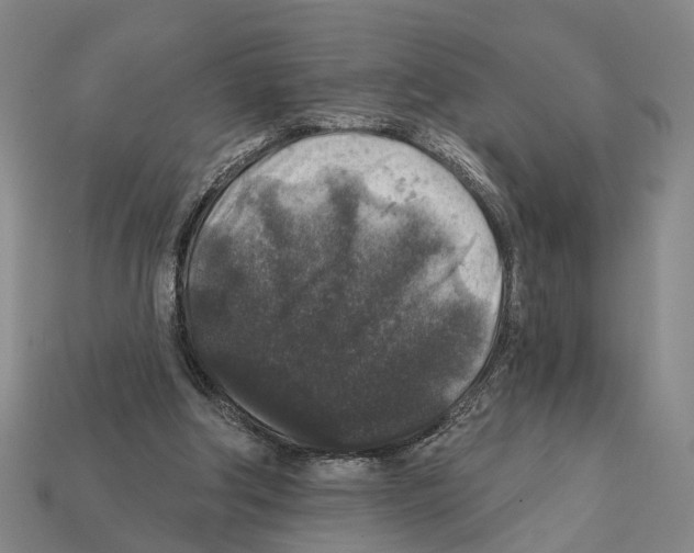 X0000112420202200909251523