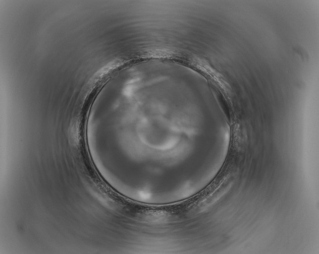 X0000112420203200909251523