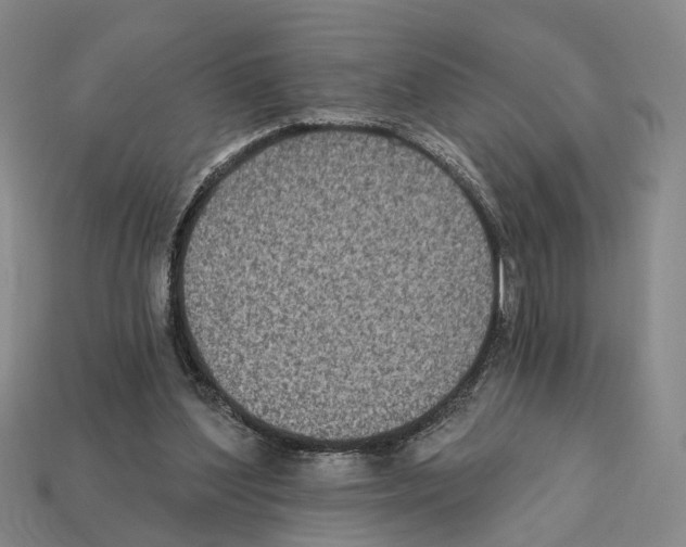 X0000112420204200909251523