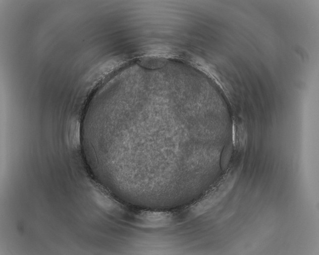 X0000112420205200909251523