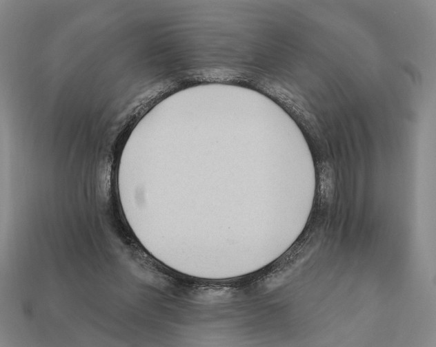 X0000112420206200909251523