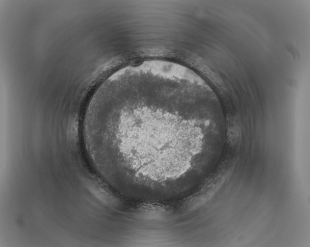 X0000112420207200909251523