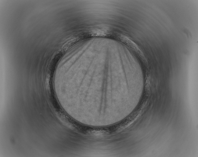 X0000112420209200909251523