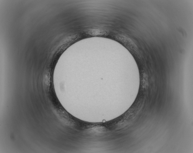 X0000112420210200909251523