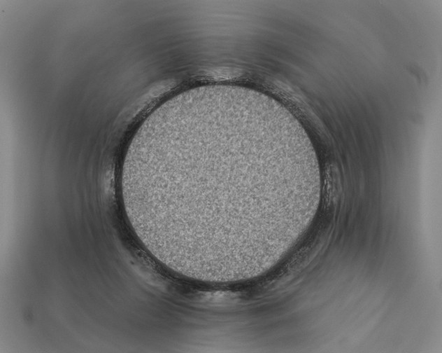 X0000112420212200909251523