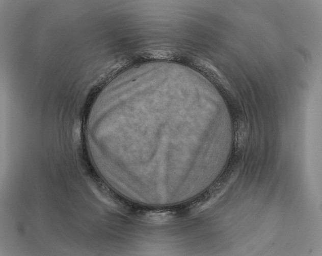 X0000112420213200909251523