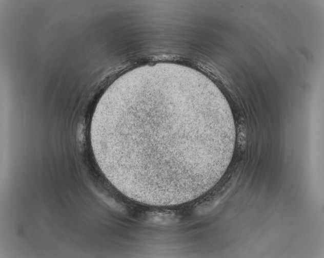 X0000112420215200909251523