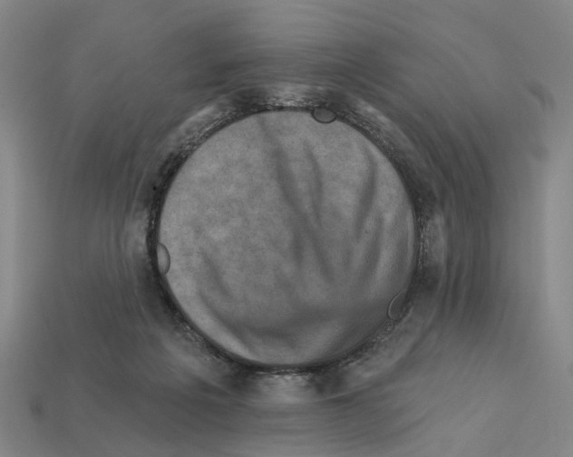 X0000112420217200909251523