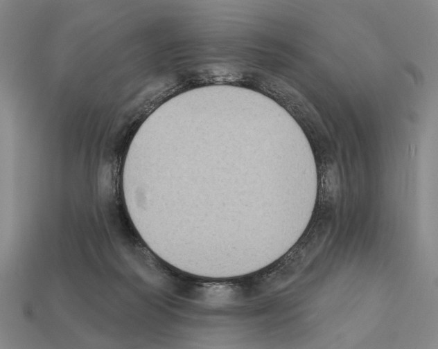 X0000112420218200909251523