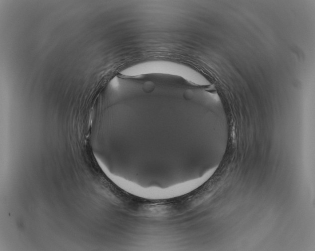 X0000112420219200909251523