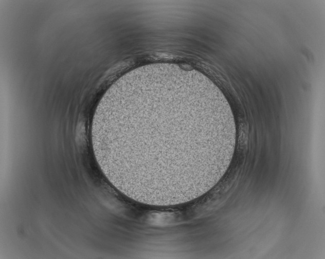 X0000112420220200909251523