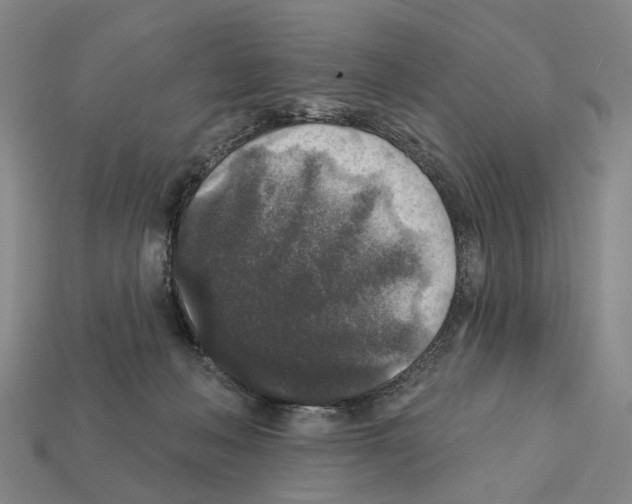 X0000112420222200909251523