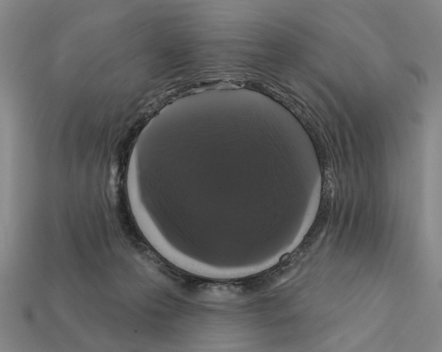 X0000112420223200909251523