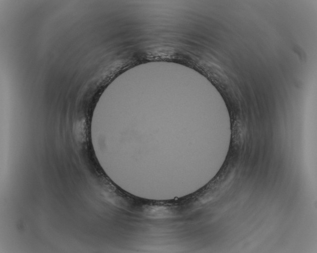 X0000112420224200909251523