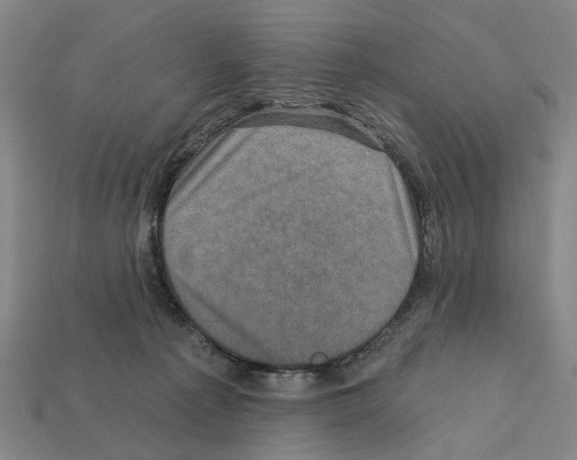 X0000112420225200909251523