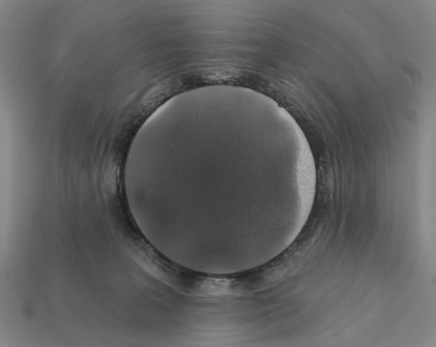 X0000112420227200909251522