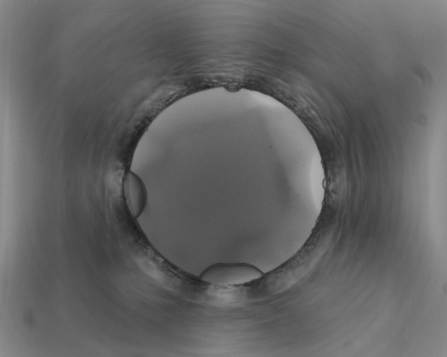 X0000112420231200909251522