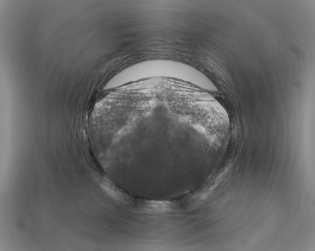 X0000112420233200909251522