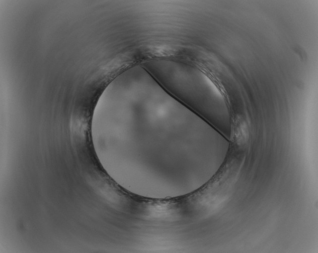 X0000112420235200909251522