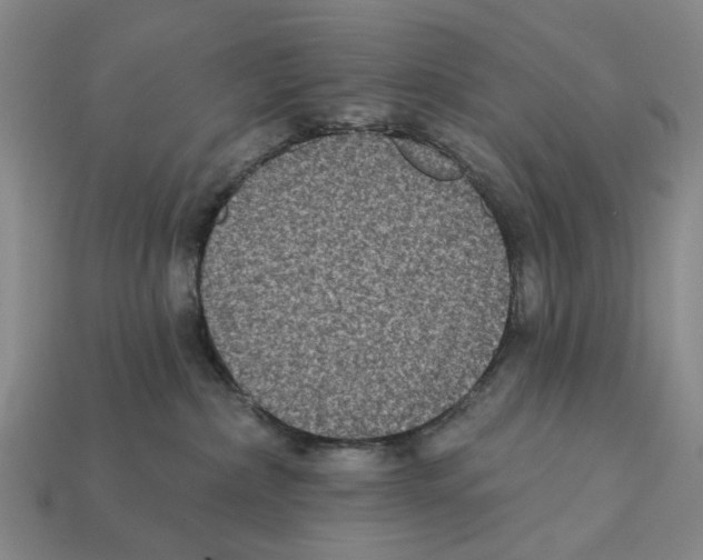 X0000112420236200909251522