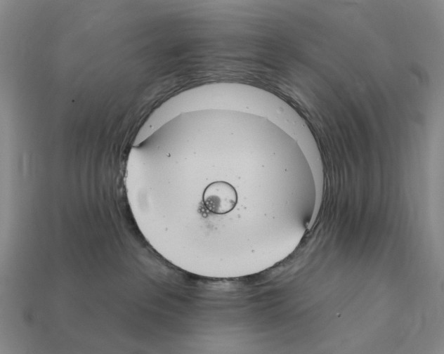 X0000112420237200909251522