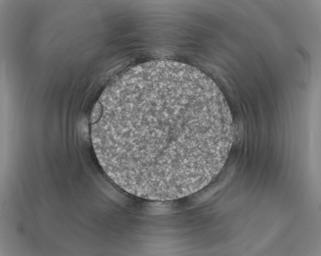 X0000112420238200909251522