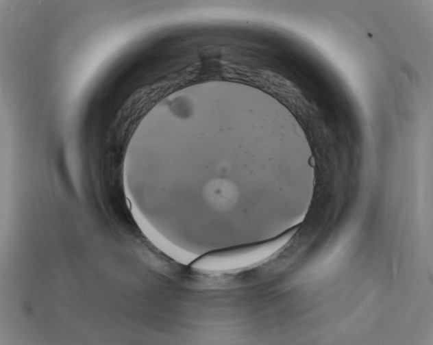 X0000112420239200909251522