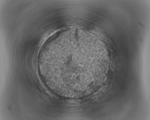 X0000112420241200909251522