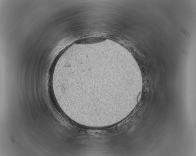 X0000112420242200909251522