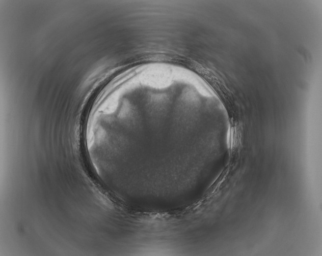 X0000112420243200909251522