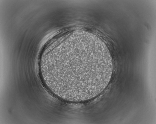 X0000112420245200909251522