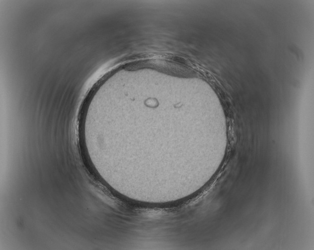 X0000112420246200909251522