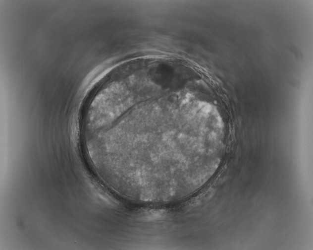 X0000112420247200909251522