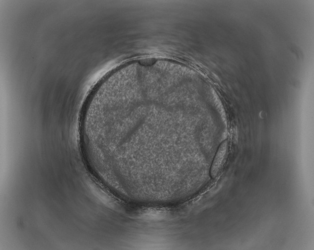 X0000112420248200909251522