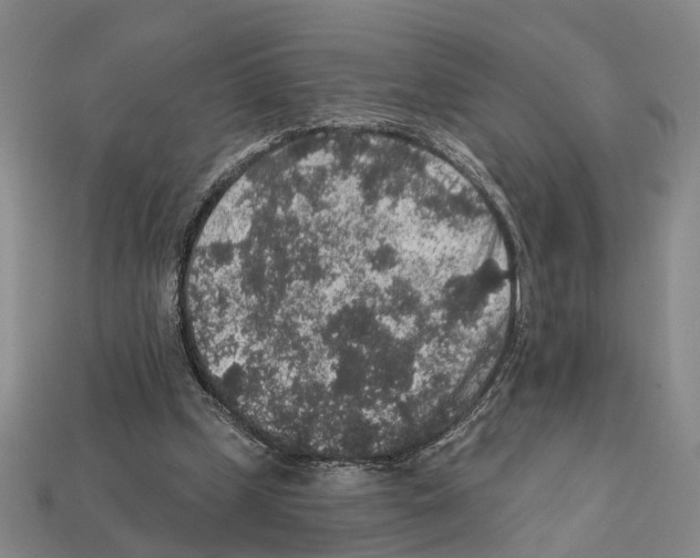 X0000112420249200909251522