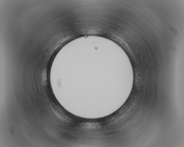 X0000112420251200909251522