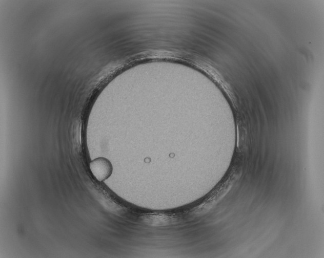 X0000112420253200909251522