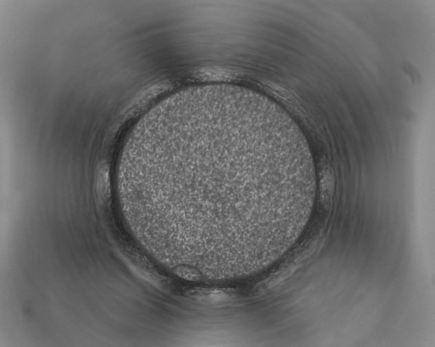 X0000112420254200909251522