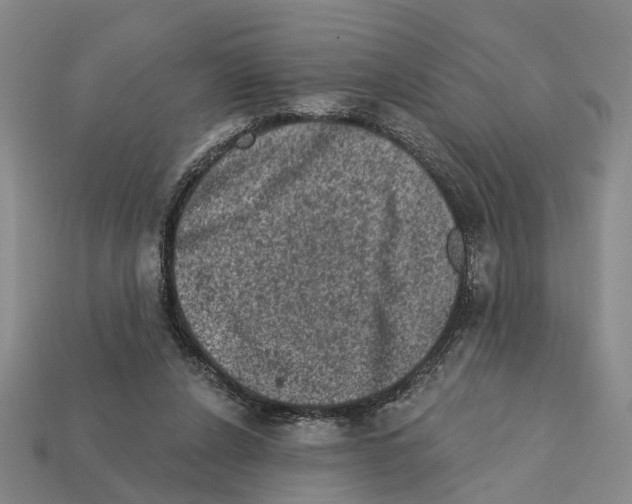 X0000112420256200909251522