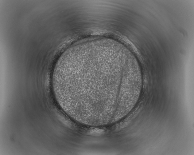 X0000112420257200909251522