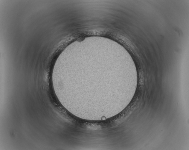 X0000112420258200909251522