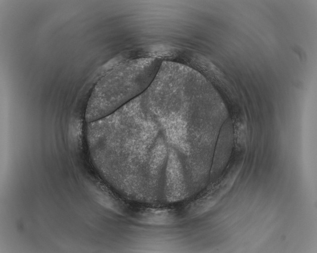 X0000112420260200909251522