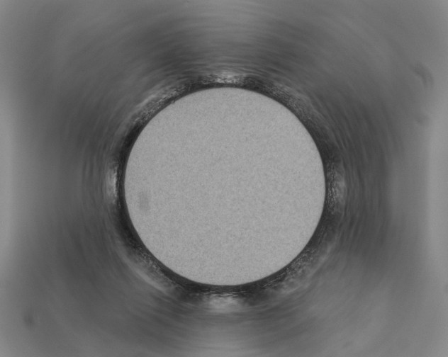 X0000112420262200909251522