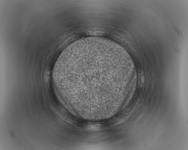 X0000112420263200909251522