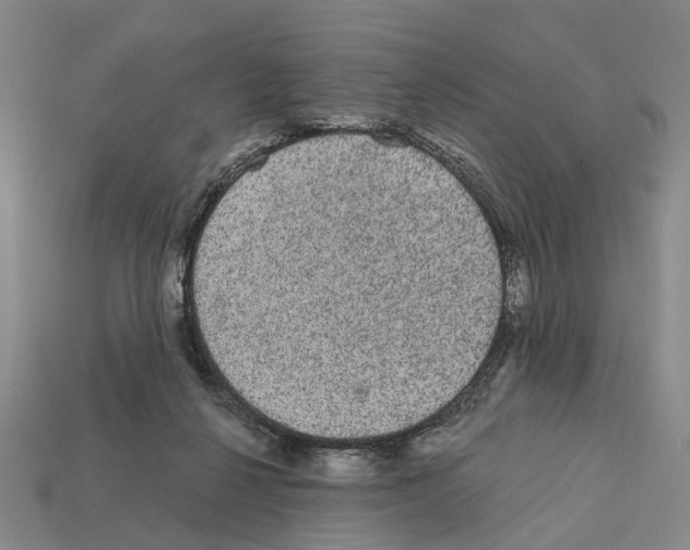 X0000112420264200909251522