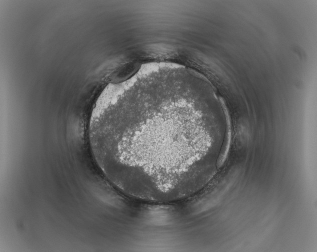 X0000112420268200909251522