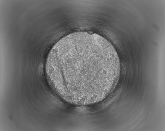 X0000112420269200909251522